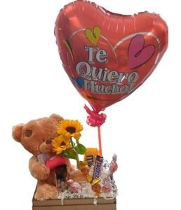 caja con oso de peluche